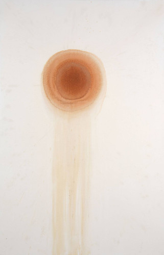 Rainbow FloweringWisdomFruiting